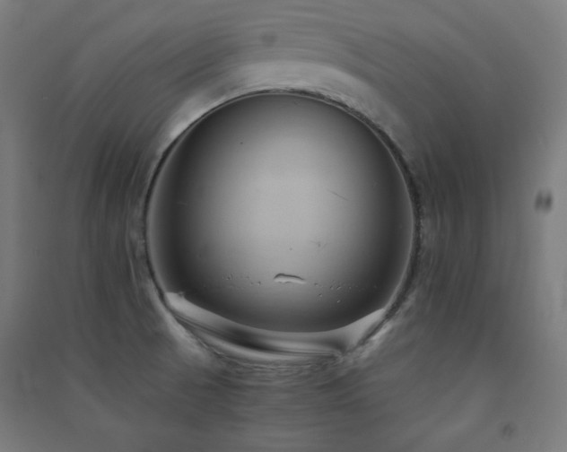 X0000091571521200708201133