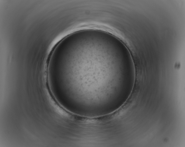 X0000091571522200708201133