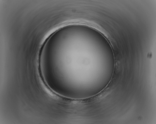 X0000091571523200708201133