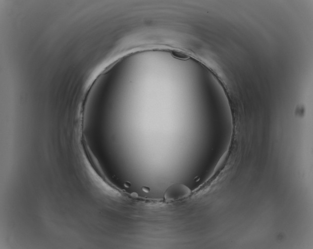 X0000091571524200708201133