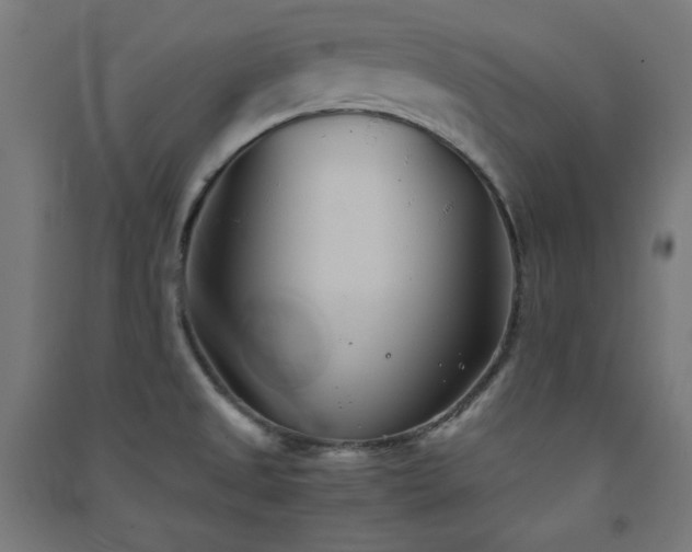 X0000091571525200708201133