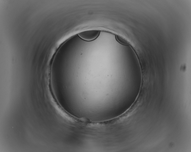 X0000091571526200708201133
