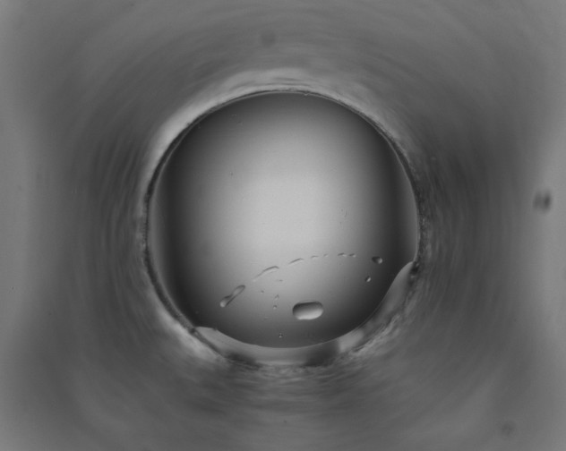 X0000091571527200708201133
