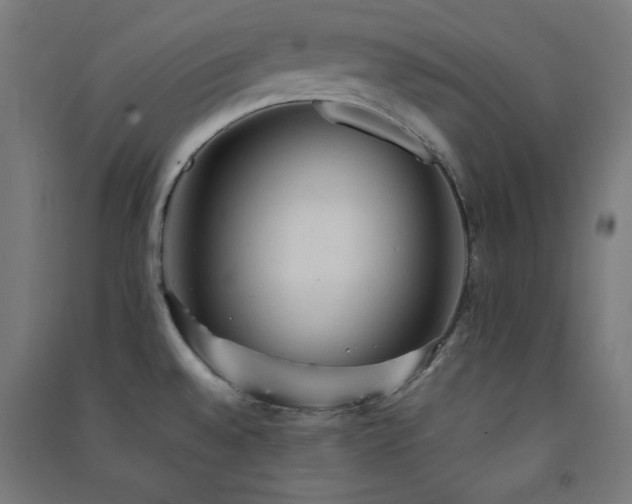 X0000091571528200708201133