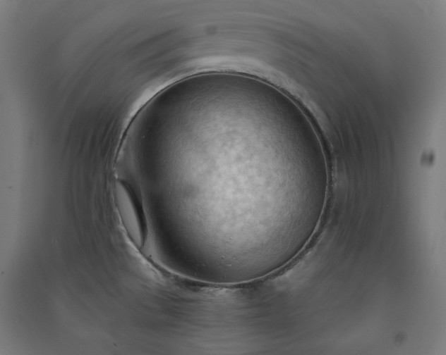 X0000091571529200708201134