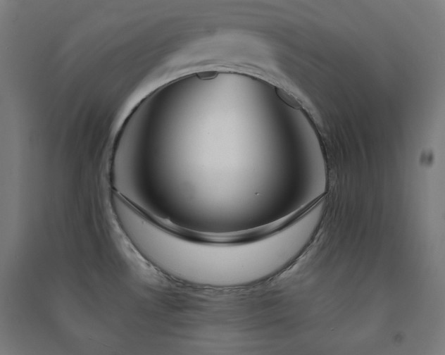 X0000091571530200708201134