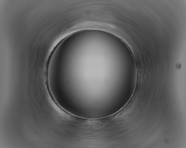 X0000091571531200708201134