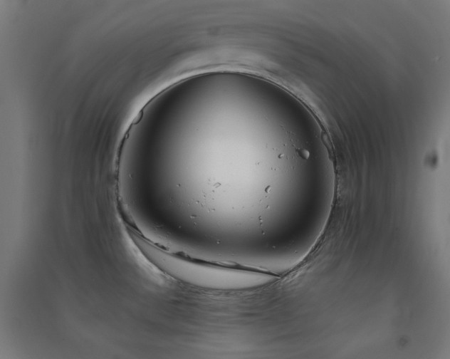 X0000091571532200708201134