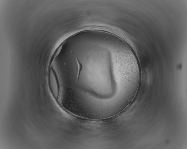 X0000091571533200708201134