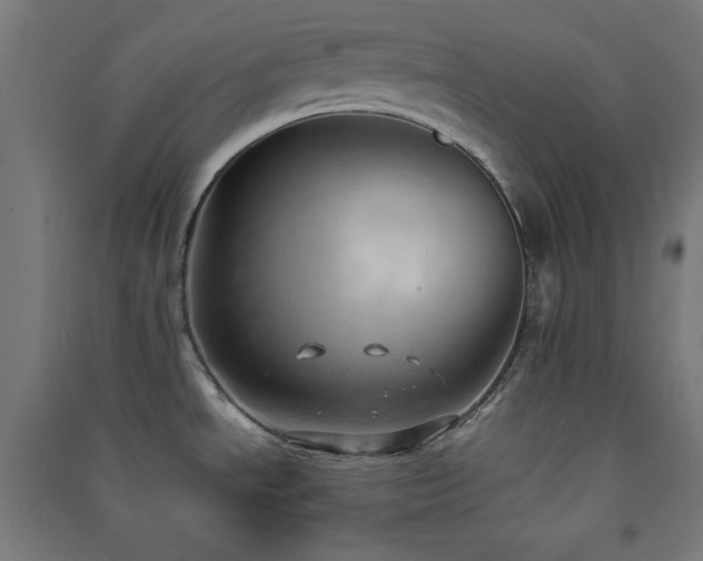X0000091571534200708201134