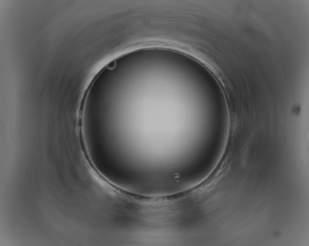X0000091571535200708201134