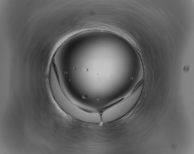 X0000091571536200708201134