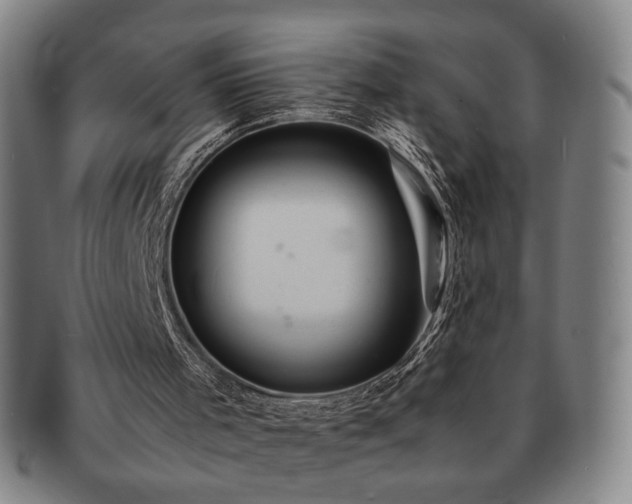 X0000091570001200708271209