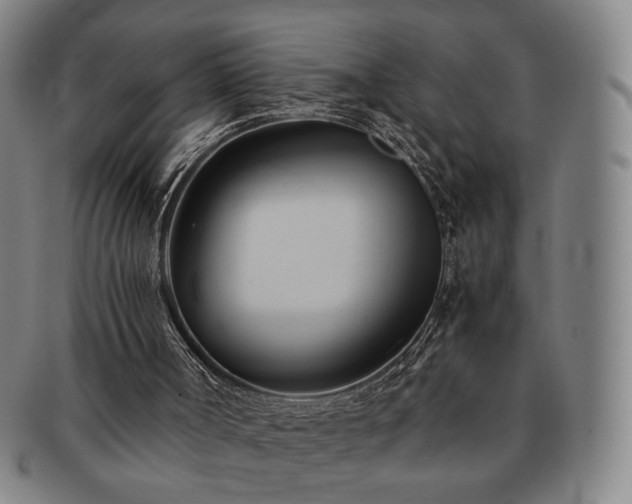 X0000091570002200708271209