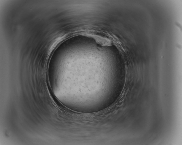 X0000091570003200708271209