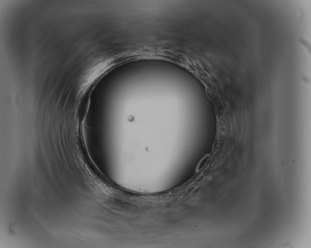 X0000091570005200708271209