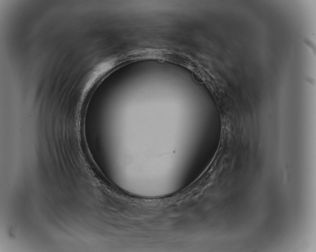 X0000091570006200708271209