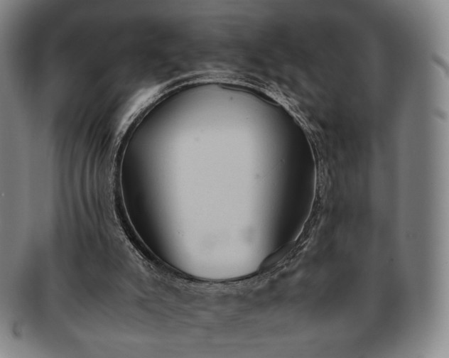 X0000091570007200708271209