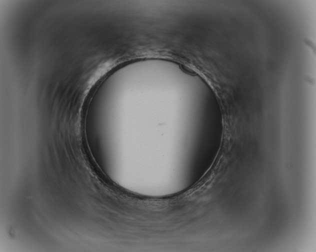 X0000091570008200708271209