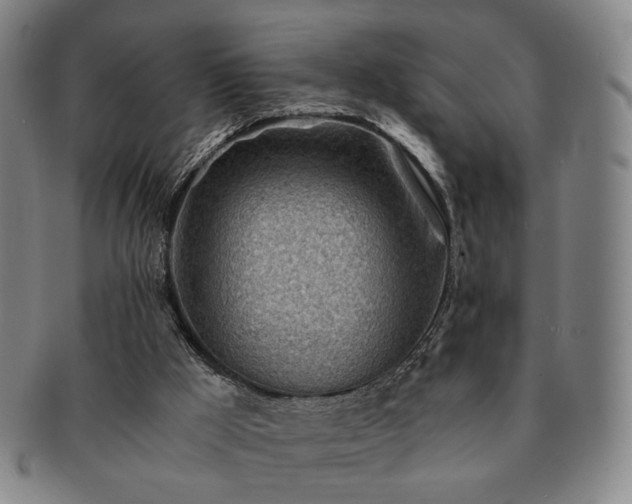 X0000091570009200708271209