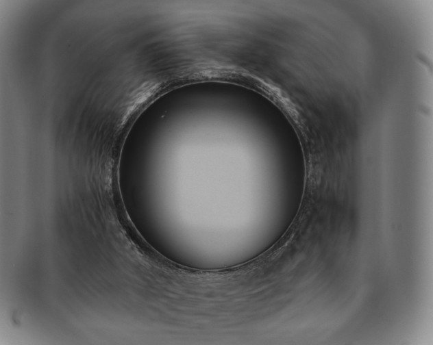 X0000091570010200708271209