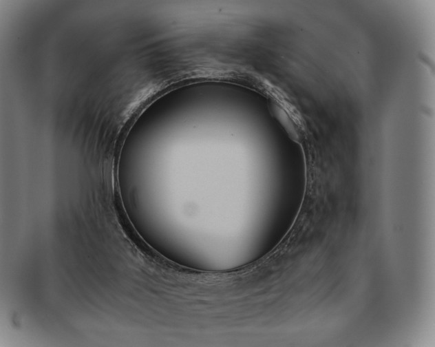 X0000091570011200708271209
