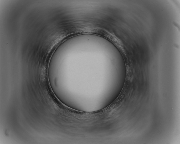 X0000091570012200708271209
