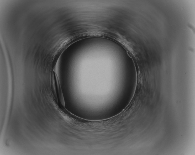X0000091570013200708271208