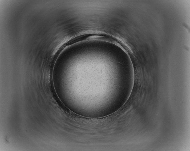 X0000091570015200708271208