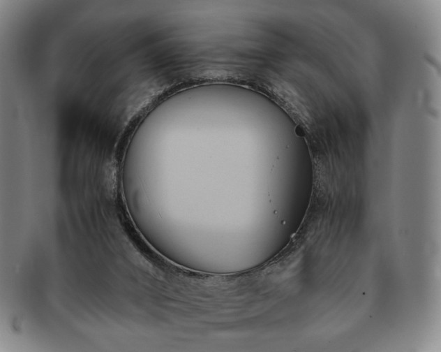 X0000091570016200708271208