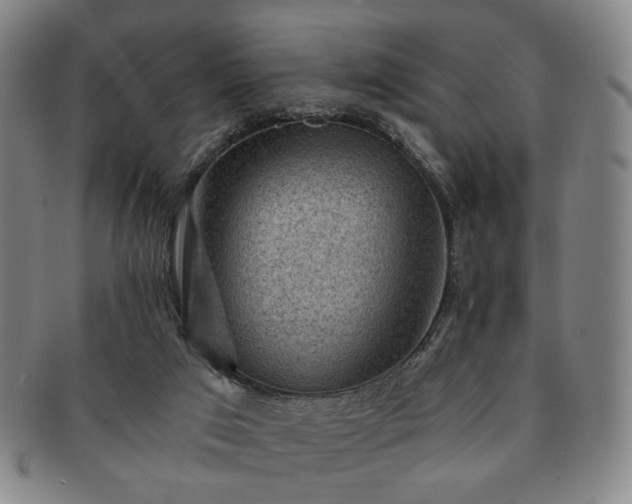 X0000091570017200708271208