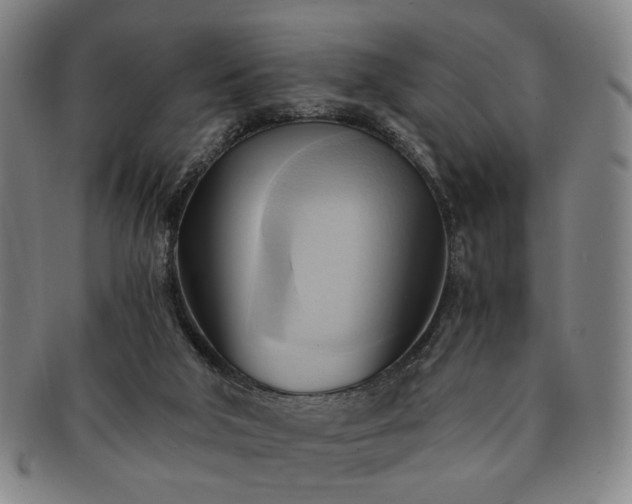 X0000091570018200708271208