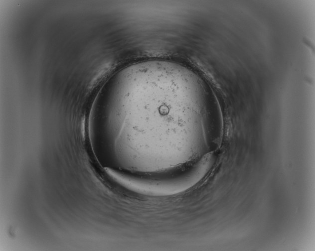 X0000091570019200708271208