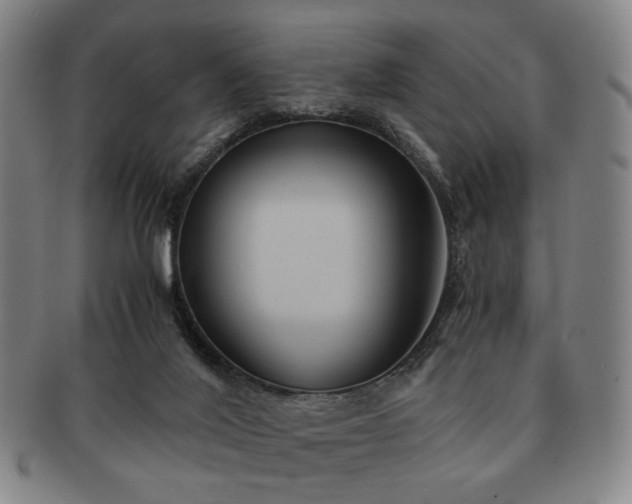 X0000091570020200708271208