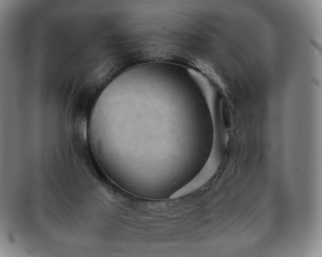 X0000091570021200708271208