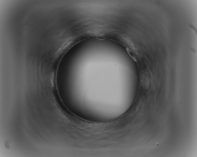 X0000091570023200708271208