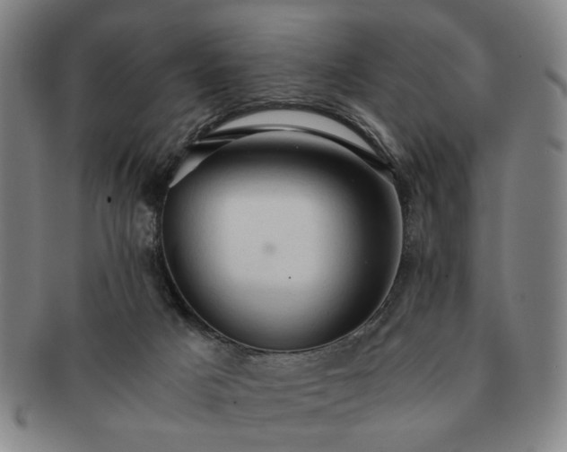 X0000091570025200708271208
