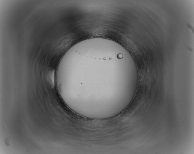 X0000091570028200708271208