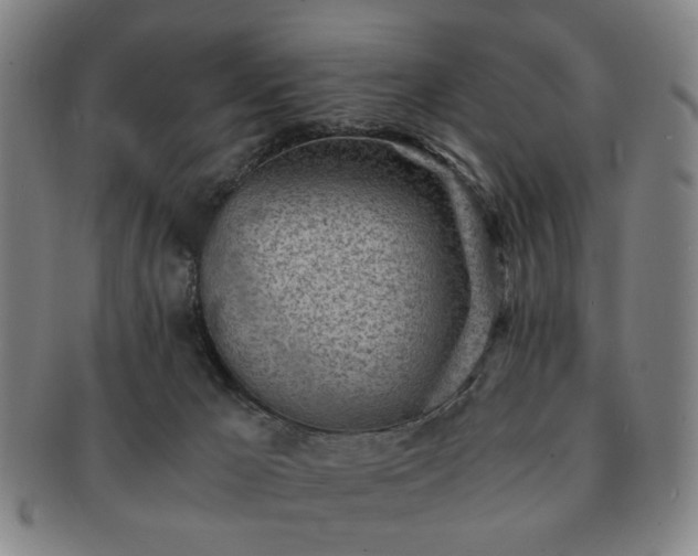 X0000091570029200708271208