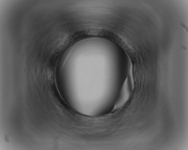 X0000091570031200708271208