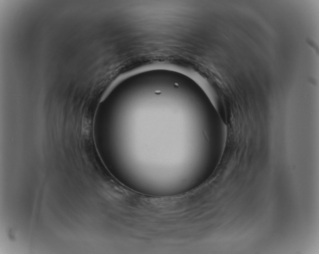 X0000091570033200708271208