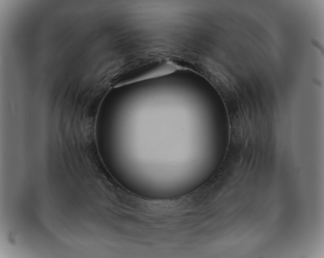 X0000091570034200708271208