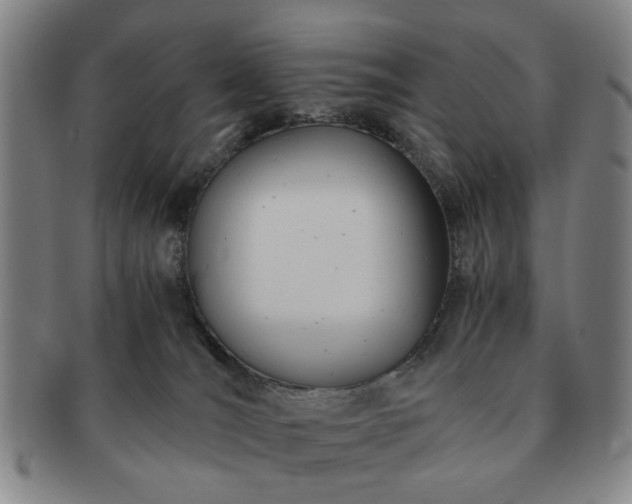 X0000091570036200708271208