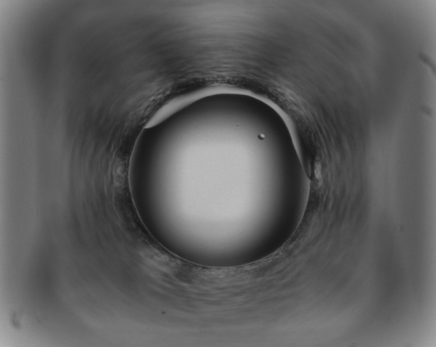 X0000091570037200708271208