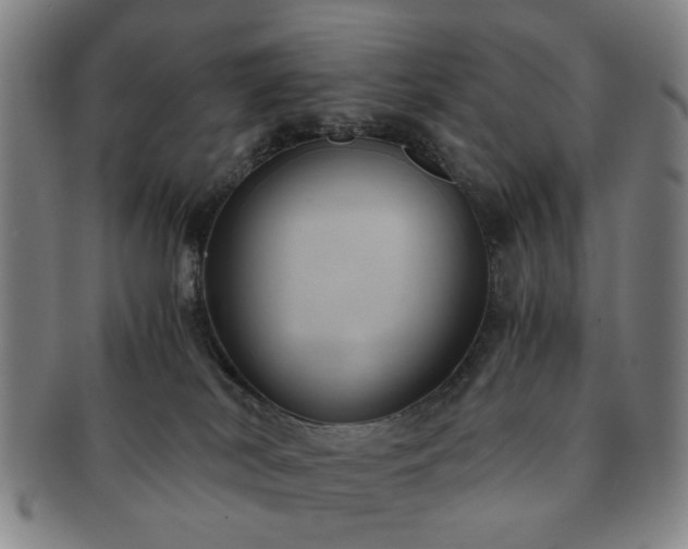 X0000091570038200708271208