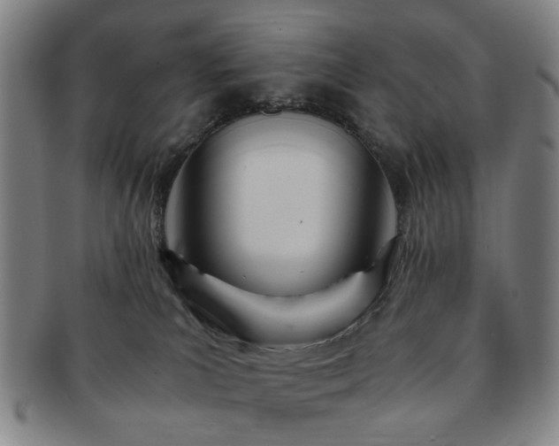X0000091570039200708271208