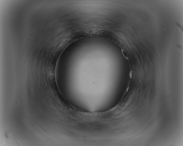 X0000091570040200708271208