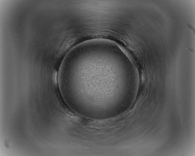 X0000091570041200708271208