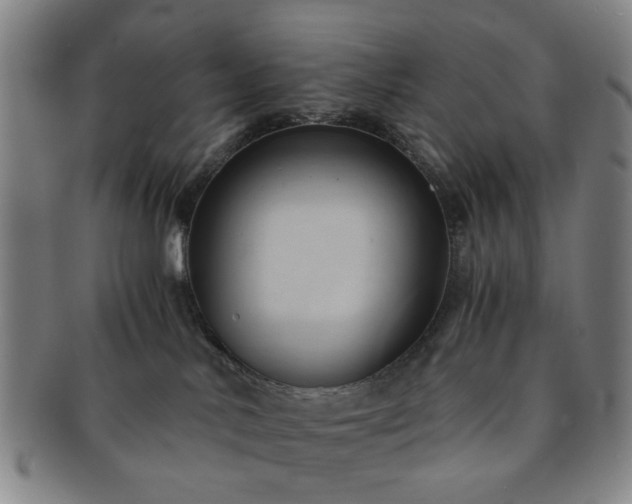X0000091570042200708271208