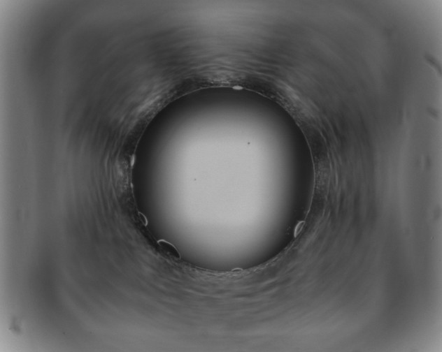 X0000091570043200708271208